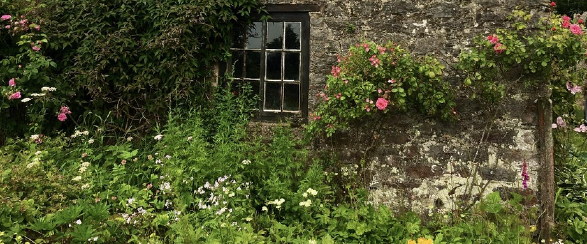 golygfa o'r ardd / view of the garden