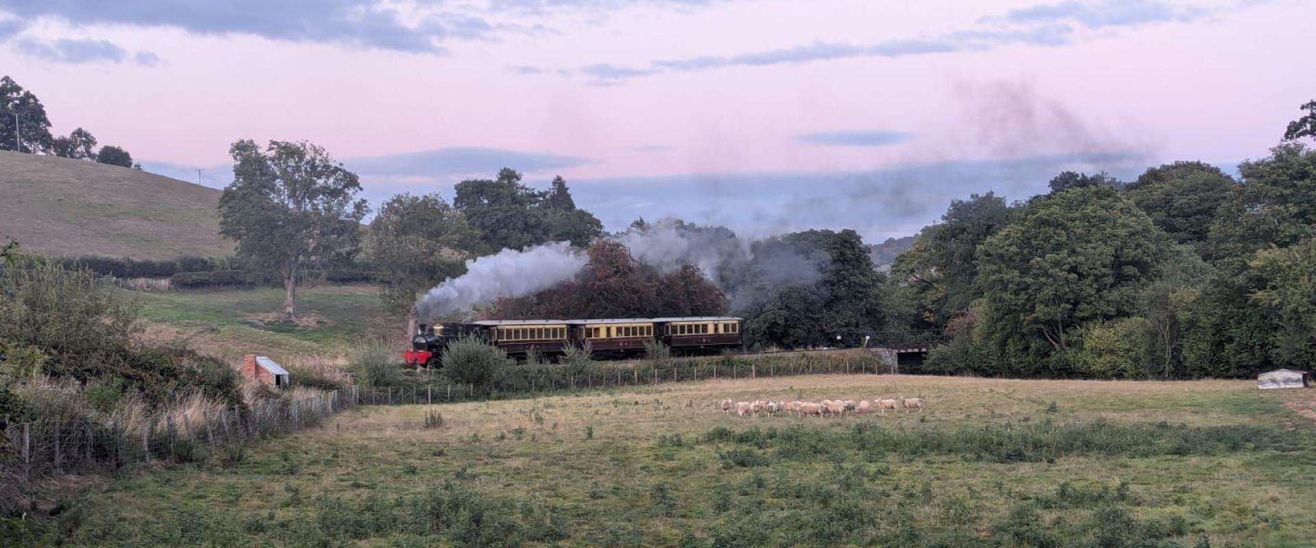 golygfa ar draws cae tuag at y trên / view across a field towards the train