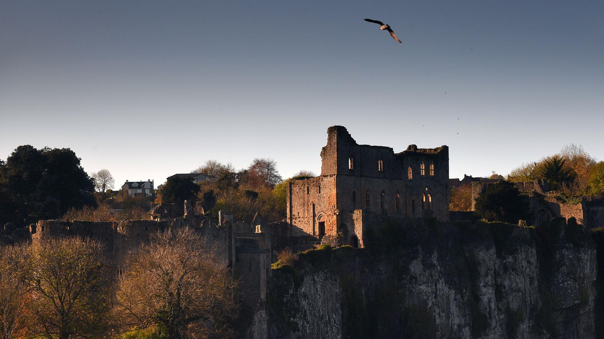 Castell Cas-gwent / Chepstow Castle 